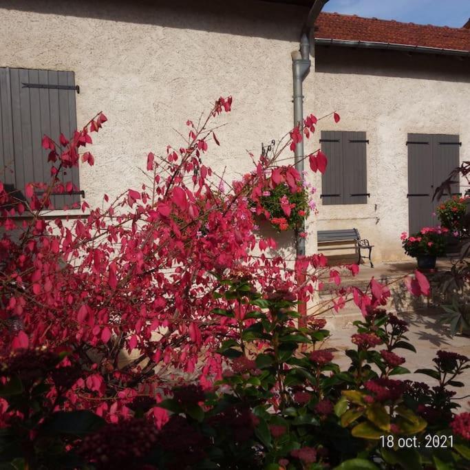 Maison Aux Portes Du Centre Historique De Dijon Avec 3 Chambres Et Garage Exterior foto